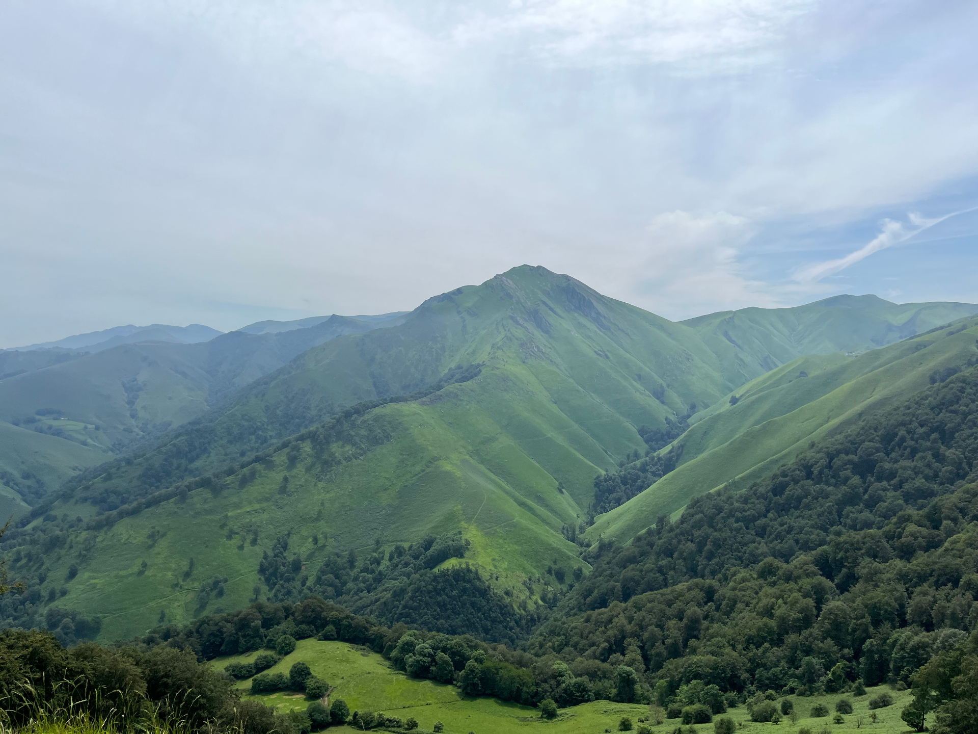 Lush green mountain valley in Catalonia