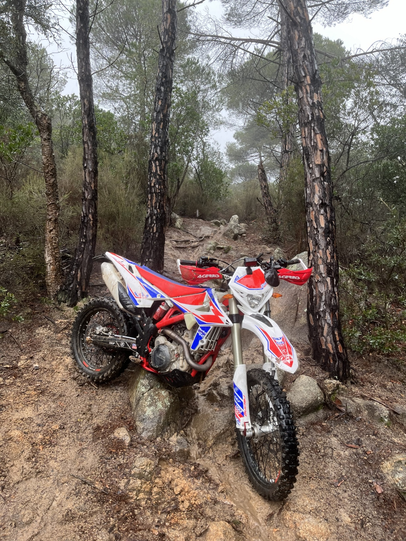 Beta RR 390 enduro motorcycle on a forest trail